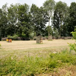 De Gavers Nature Reserve - Ninove