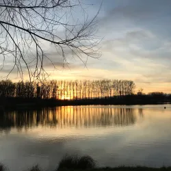 De Gavers Nature Reserve - Ninove