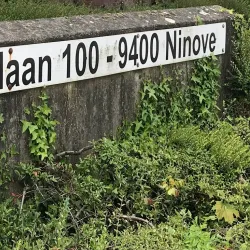 Ninove City Hall - Ninove