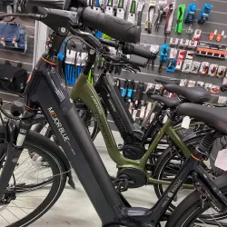 Ninove Cycling Circuit - Ninove