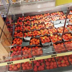 Ninove Market Square - Ninove