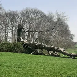 Park Ter Rijst - Ninove