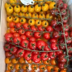 Local Markets and Artisan Shops - Overijse