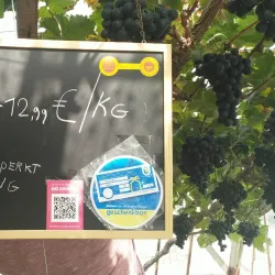 Overijse Grape Festival (Druivenfeesten) - Overijse