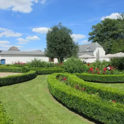 Vineyards and Wine Tasting Tours - Overijse