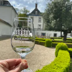 Vineyards and Wine Tasting Tours - Overijse