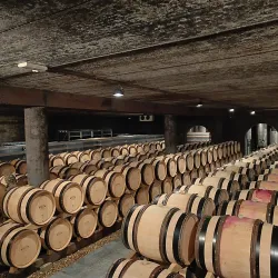 Vineyards and Wine Tasting Tours - Overijse