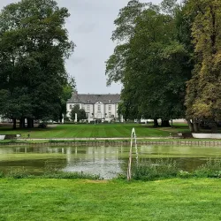 Vineyards and Wine Tasting Tours - Overijse