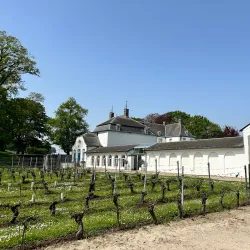 Vineyards and Wine Tasting Tours - Overijse