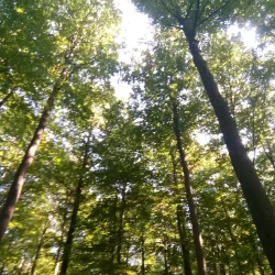 Walking and Cycling Trails - Overijse