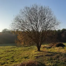 Walking and Cycling Trails - Overijse