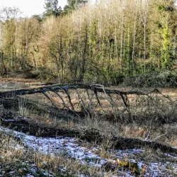 Walking and Cycling Trails - Overijse