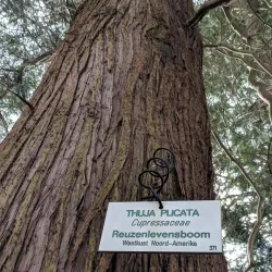 Walking and Cycling Trails - Overijse