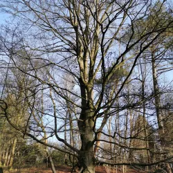 Walking and Cycling Trails - Overijse