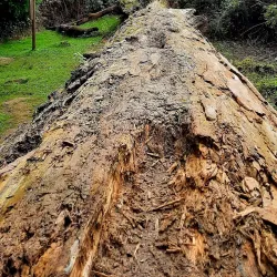 Walking and Cycling Trails - Overijse