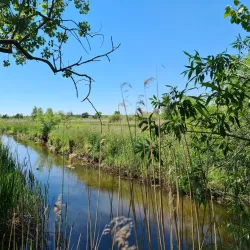 Dommelbeemden Nature Reserve - Overpelt