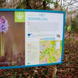 Dommelbeemden Nature Reserve - Overpelt