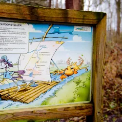 Dommelbeemden Nature Reserve - Overpelt