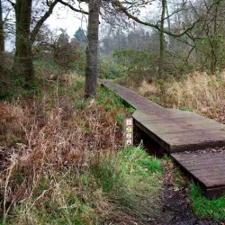 Dommelbeemden Nature Reserve - Overpelt