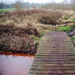 Dommelbeemden Nature Reserve - Overpelt