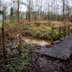 Dommelbeemden Nature Reserve - Overpelt