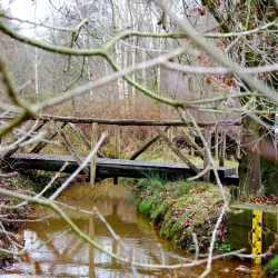 Dommelbeemden Nature Reserve - Overpelt