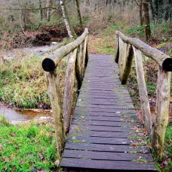 Dommelbeemden Nature Reserve - Overpelt