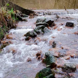 Dommelbeemden Nature Reserve - Overpelt