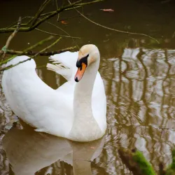 Dommelbeemden Nature Reserve - Overpelt