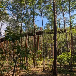 Lommel National Park - Overpelt