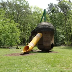 Lommel National Park - Overpelt