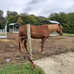 Château de la Hulpe - Rixensart