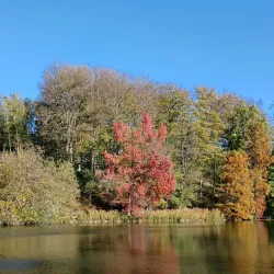 Château de la Hulpe - Rixensart
