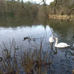 Château de la Hulpe - Rixensart