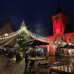 Château de Rixensart - Rixensart