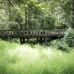 Provinciaal Domein De Palingbeek - Roeselare