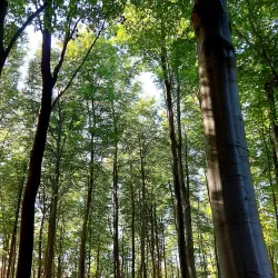 Provinciaal Domein De Palingbeek - Roeselare