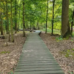 Provinciaal Domein De Palingbeek - Roeselare