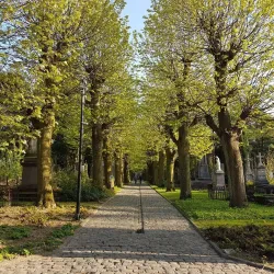 Roeselare War Memorial - Roeselare