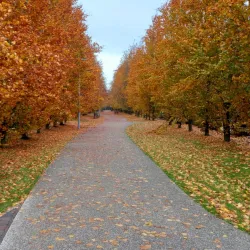 Roeselare War Memorial - Roeselare