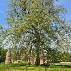 Rumbeke Castle - Roeselare