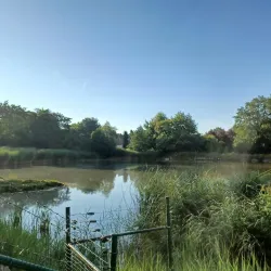 Rumbeke Castle - Roeselare