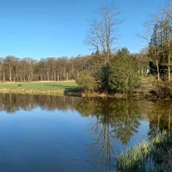 Rumbeke Castle - Roeselare