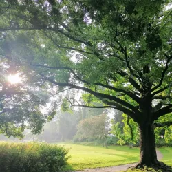 Forest Park (Parc de Forest) - Saint-Gilles (Sint-Gillis)
