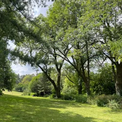 Forest Park (Parc de Forest) - Saint-Gilles (Sint-Gillis)