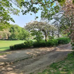 Forest Park (Parc de Forest) - Saint-Gilles (Sint-Gillis)