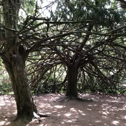 Parc Josaphat Community Garden - Schaerbeek