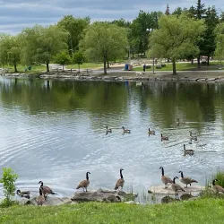 Parc de la Cité - Seraing