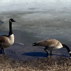Parc de la Cité - Seraing