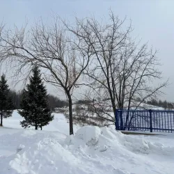 Parc de la Cité - Seraing